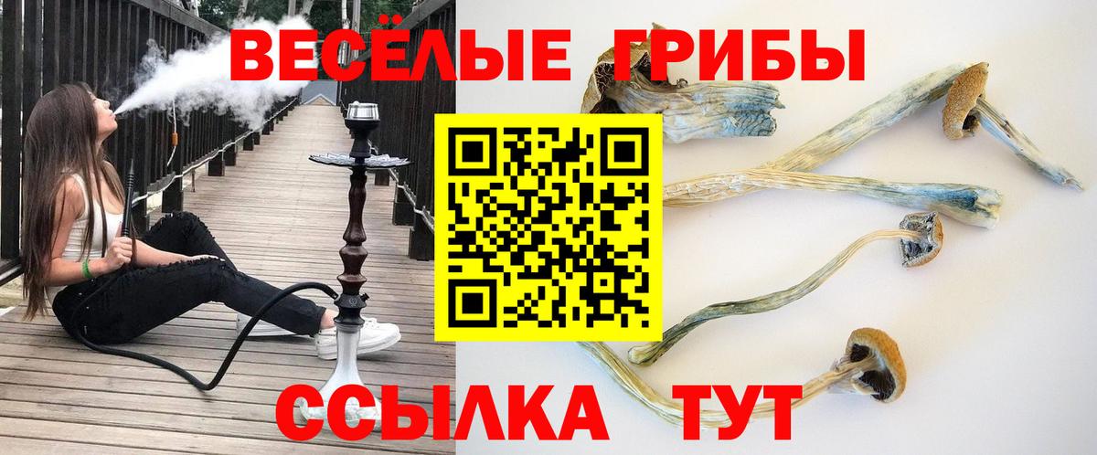 Псилоцибиновые грибы GOLDEN TEACHER Орехово-Зуево